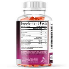 Apple Cider Vinegar Gummies for Weight Loss – Sugar Free 60 Count (Pack of 1)