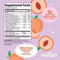 Wellah Creatine + Hydration Powder (White Peach Nectarine) 30 Servings