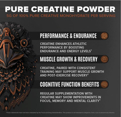 Birdman Falcon Vegan Protein Powder, Chocolate, 31g Protein, 28 Servings