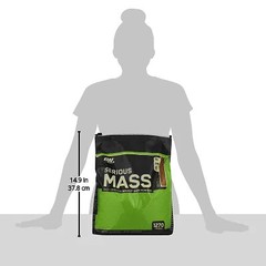 Optimum Nutrition Serious Mass Weight Gainer Protein Chocolate Peanut Butter …