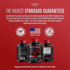 PRIME LABS TESTOSTERONE Booster Men’s Test Natural Stamina Endurance 60 Caplets