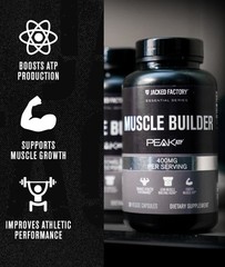 Essentials Muscle Builder – ATP Muscle Builder for Men with Peak ATP to Support