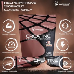 WELLNESS LABSRX Creatine Monohydrate Powder Sachets 300g – Peach Flavor Micro…