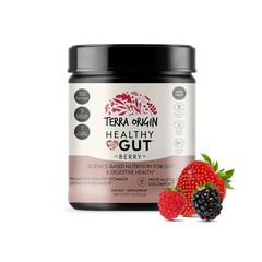 TERRA ORIGIN Healthy Gut Powder Berry Flavor |30Servings with LGlutamine, Zin…