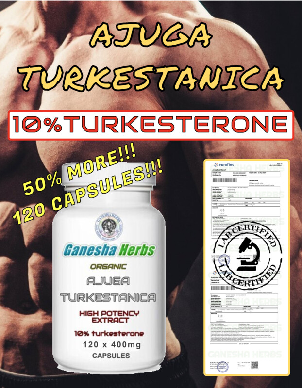 AJUGA TURKESTANICA High Potency Extract 10%TURKESTERONE 120 x 400mg Capsules!