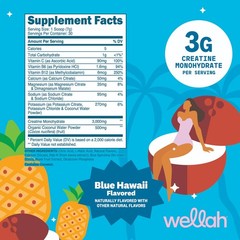 Wellah Creatine + Electrolytes Powder (Blue Hawaii) 30 Servings