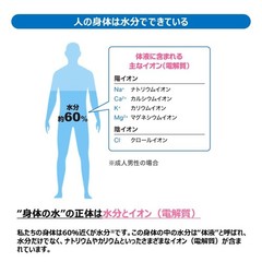 Otsuka Pocari Sweat Powder 26.10oz(740g) For 10l Pack Of 2packs from JAPAN