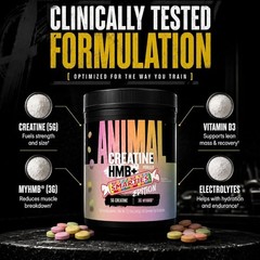 Animal Creatine Monohydrate Smarties Edition HMB+ Powder with Electrolytes 30S