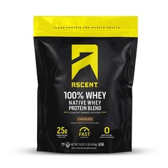 Ascent 100% Whey Protein Powder – Post Workout 1 Pound (Pack of 1)