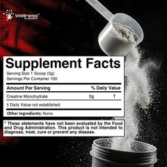 WELLNESS LABSRX Creatine Monohydrate Powder 500g – 100 Servings Micronized Cr…