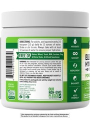 Nature’s Truth Electrolytes Powder | No Sugar | with B 4.3 Ounce (Pack of 1)