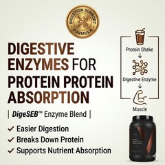 Chocolate Whey Protein Isolate 2 Pack Zero Sugar Monk Fruit Digestive Enzymes