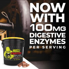 Whey Protein Muscle Powder with 25g Protein, 162 Servings, 12LB,