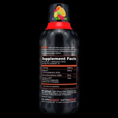 Alpha Lion BURN20 Burn 20 Stim-Free Liquid Thermogenic Fat Burner 3 Flavors 30sv