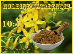 100% Pure Bulbine Natalensis 10:1 Extract Powder 100g. Bodybuilding-Muscle Gain