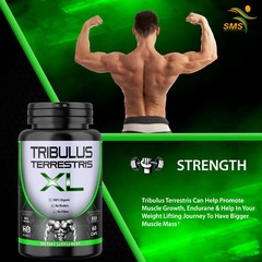TRIBULUS TERRESTRIS 180 Caps 96% SAPONINS 7500mg Organic Fitness Supplement