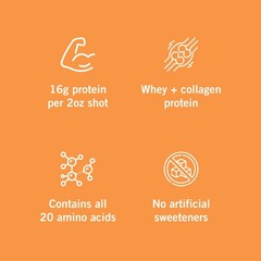 2 Pack Vidafuel Wellness Protein Drink Berry Delight & Citrus Burst 32oz Each
