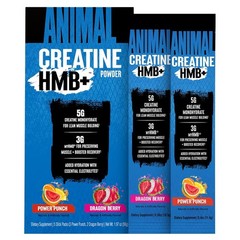 Creatine HMB Powder with Electrolytes – 3g MyHMB + 5g Creatine for Recovery & En