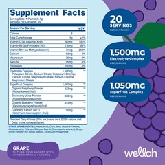 Wellah Splish Splash Hydration (Grape) 20 Stick Packs – Electrolyte complex