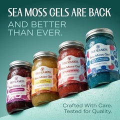 TrueSeaMoss Sea Moss Gel – Made in USA – Wildcrafted Seamoss, Fruits & Jarred Ve