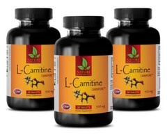 L-Carnitine. Promotes Muscle Endurance & Recovery. Increase Energy (3 Bot)