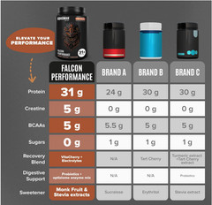 Birdman Falcon Vegan Protein Powder, Chocolate, 31g Protein, 28 Servings