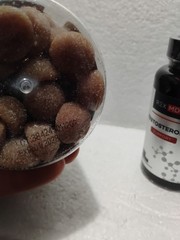 Creatine Gummies & Testosterone Booster Muscle Building Stack