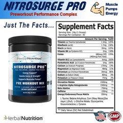 Nitrosurge Pro Pre Workout Powder w/ Creatine Nitric Oxide Booster 300g