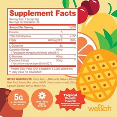 Tropical Punch L-Glutamine Powder, 50 Servings – GMP Certified Quality