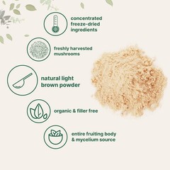 Micro Ingredients Organic Lion??s Mane Mushroom Powder Pure Fruiting Superfood