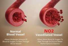 NO2 Max – #1 Rated Nitric Oxide Supplement For 2025