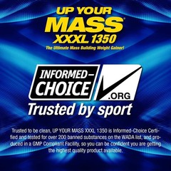 Up Your Mass XXXL 1350 Weight Gainer | 50g Protein, BCAAs, 6lb Milk Chocolate
