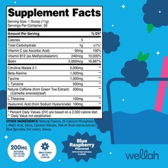 Wellah Get-Going Pre-Workout Drink Mix (Blue Raspberry) – 200mg Natural Caffeine