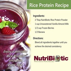 NutriBiotic Organic Rice Protein Plain, 3lb | Low-Carb Vegan Keto Gluten-Free