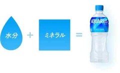 Coca Cola Aquarius Sports Drinks 500ml x 12 PET bottles – MADE IN JAPAN