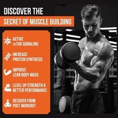 2000Mg Liposomal Phosphatidic Acid Muscle Builder (PA), High Absorption Muscle B