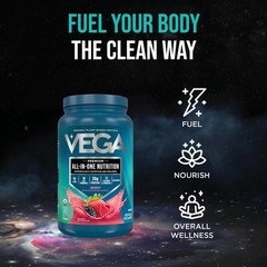 Vega All-in-One Nutrition Organic Vegan 1.52 Pound (Pack of 1),