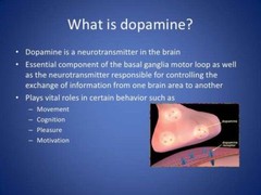 Dopamine supplements – L-DOPA MUCUNA EXTRACT 99% 350mg – serotonin power diet