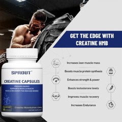 Creatine Monohydrate 60 Capsules – 1200 mg Per Serving