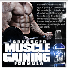 Antler Force – Strength & Endurance Formula – Recovery & Muscle Growth