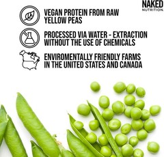 2LB Gluten-Free and Dairy-Free Pea Protein Powder – Muscle Growth Support