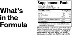 Cell-Tech Creactor Creatine Hcl Powder | Post Workout Muscle Builder for Men & W