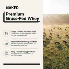 NAKED Whey Chocolate Protein Powder – Grass Fed Whey Protein – 24 Servings