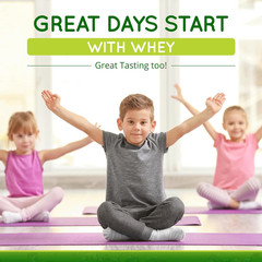 Grass-Fed Whey Protein Powder for Immune Vitality, Natural Cocoa 600G (30 Servin