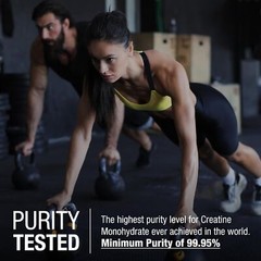 German Creatine – Micronized Creatine Monohydrate Powder 99.99% Pure Creapure…