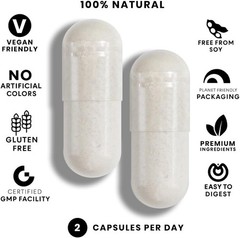 Creatine +, High Absorption Capsules, 60 Count, Non-GMO, Gluten Free, Soy Free