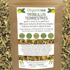 Best TRIBULUS TERRESTRIS Bodybuilding Tea for Men & Women Body Building, Detox .