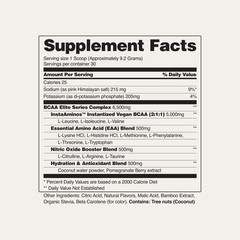 BCAA Amino Energy Powder Nitric Oxide Booster, Pre Workout, Recovery – 2 Flavors