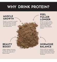 Just Ingredients Protein Powder Chocolate | 24g Protein | 15 Servings