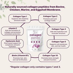 Micro Ingredients Multi Collagen Peptides Powder,1lb?CHydrolyzed Type I,II,III,V